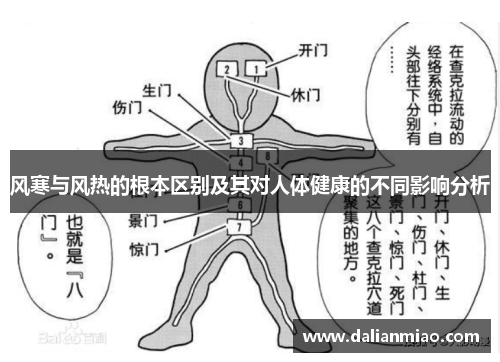 风寒与风热的根本区别及其对人体健康的不同影响分析